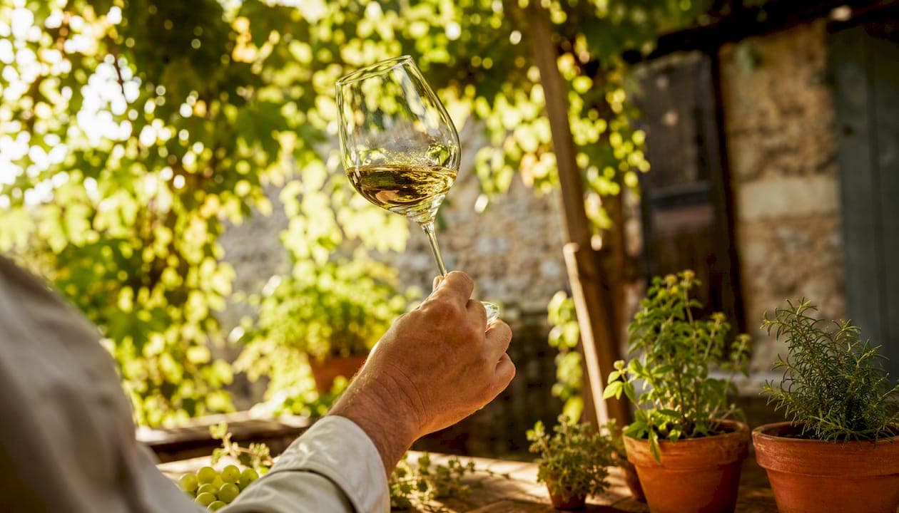 Weißwein-Aromen: Kategorien, Herkunft und Sensorik