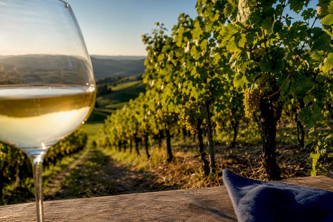 Grauburgunder aus Baden: Aus 15.000 Hektar den besten Wein wählen